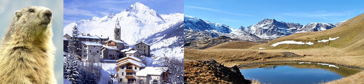 ANDAGNE residence de location appartement val cenis savoie Nature 2